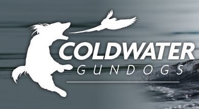coldwater logo